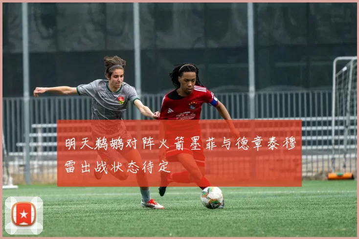 明天鹈鹕对阵火箭墨菲与德章泰穆雷出战状态待定